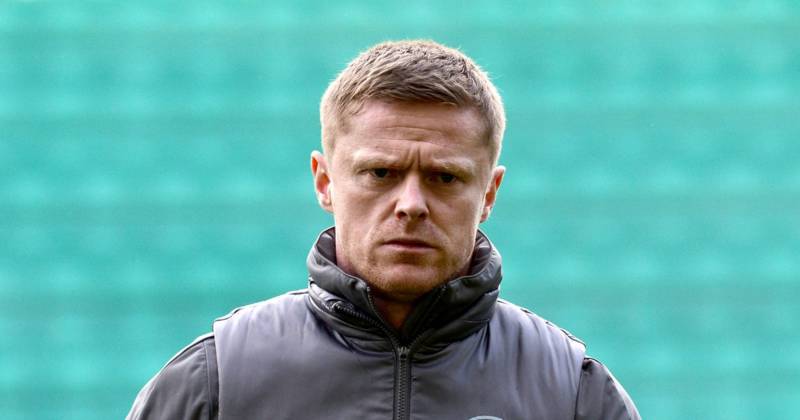 Damien Duff leaves Celtic coaching job to work full-time with Ireland