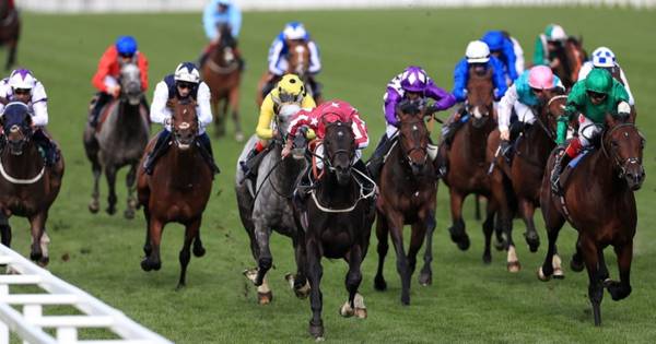 Royal Ascot Day One Preview (18+)