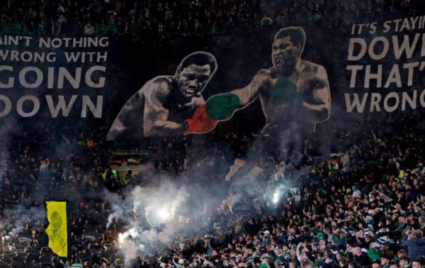 Awesome- Green Brigade produce video review of the season