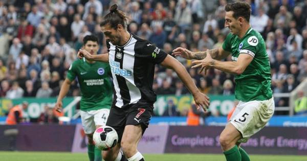 Brighton v Newcastle Preview And Betting Tips (18+)