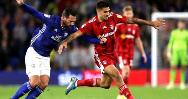 Cardiff v Fulham Preview And Tips – Championship Semi-Final Play-Off (18+)