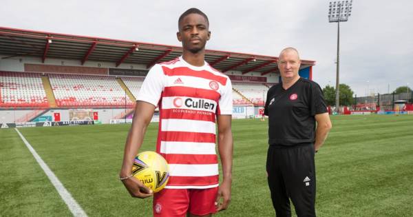 Hamilton Accies sign ex-Livingston defender Odoffin ahead of Celtic clash