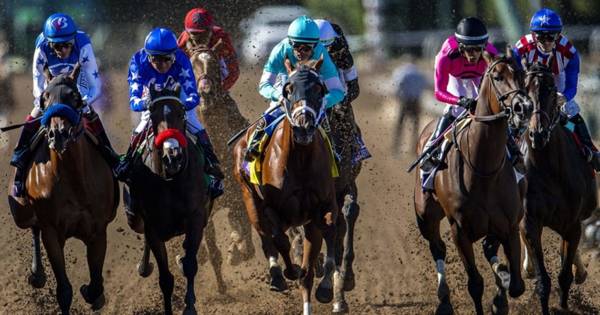 Breeders’ Cup Preview And Betting Tips (18+)