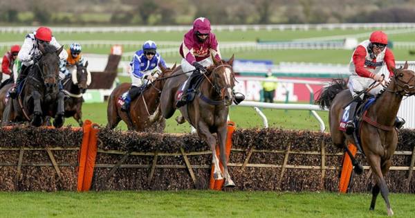 Cheltenham November Meeting Preview And Betting Tips (18+)