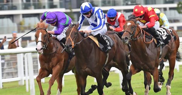 Newbury Preview And Betting Tips (18+)