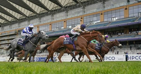 Ascot Betting Tips (18+)