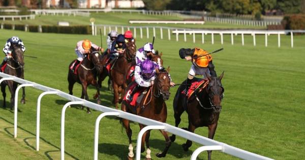 Sandown Betting Tips (18+)