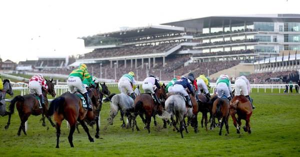 Cheltenham Festival Betting Tips – Day One (18+)