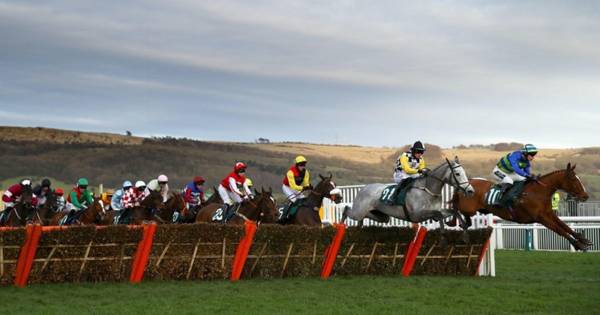 Cheltenham Festival Day Two Betting Tips (18+)