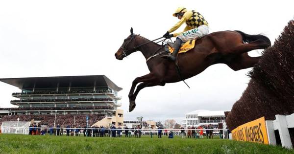 Cheltenham Festival Betting Tips Day Four (18+)