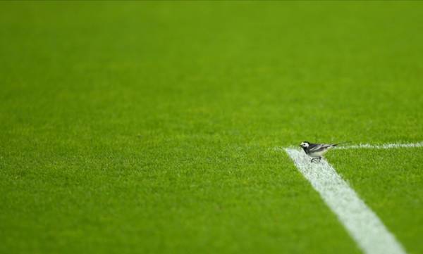 Video: Watch Celtic’s Lennoxtown Training Session ahead of Glasgow Derby