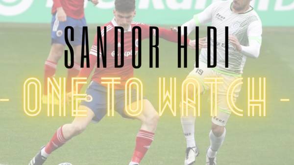 One to Watch: Sandor Hidi