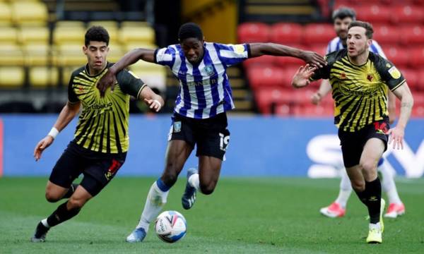 Darren Moore reveals exactly when Celtic wrestled initiative from Sheffield Wednesday in pursuit of player agreements