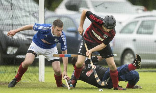 Shinty: Andrew MacCuish makes surprise Oban Camanachd return for Celtic Society Cup final