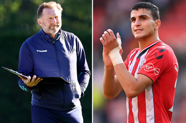 Elyounoussi was so far out in the cold he had frostbite at Southampton… but now he’s one a key man under Hasenhuttl