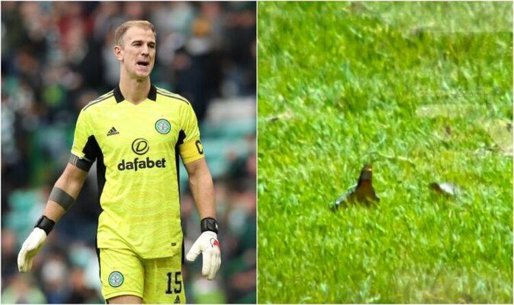 Rangers vs Celtic O** F*** derby brought to halt as smashed glass aimed at Joe Hart