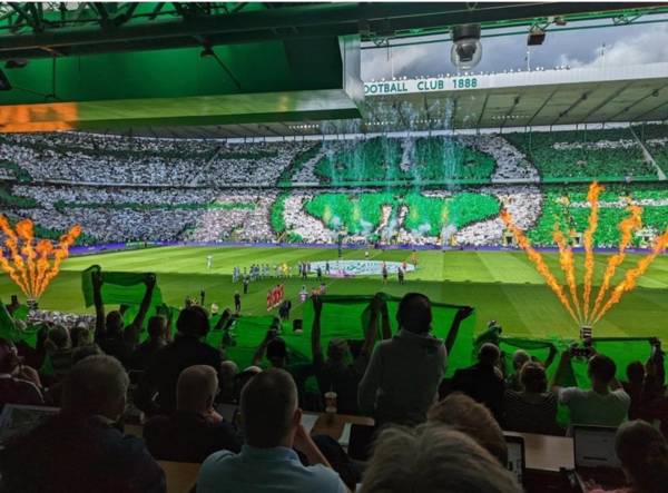 Green Brigade RMT Banner Video Goes Viral