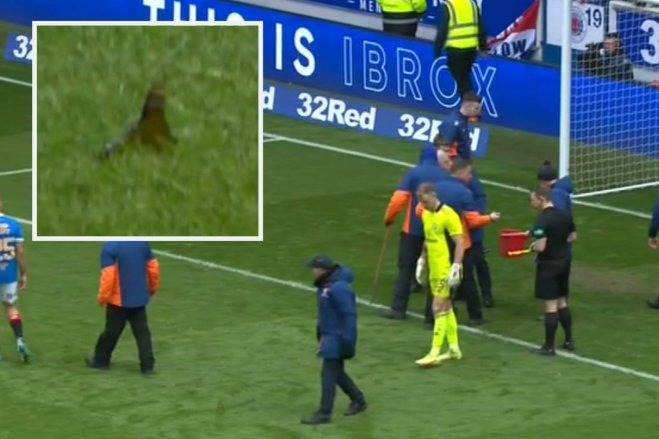 Ibrox Broken Glass Incident: “I was told there was no CCTV and agree it’s a poor show,” Celtic CEO