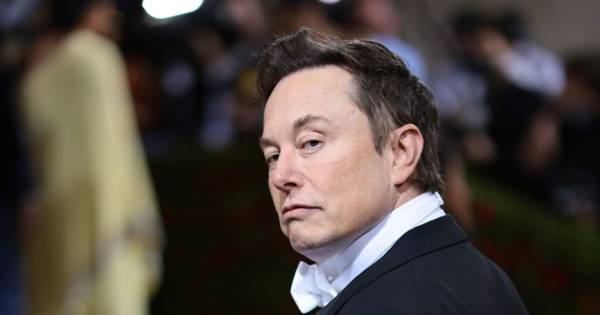 Elon Musk sent message by Celtic as ‘Twitter Green’ idea floated amid radical social media changes