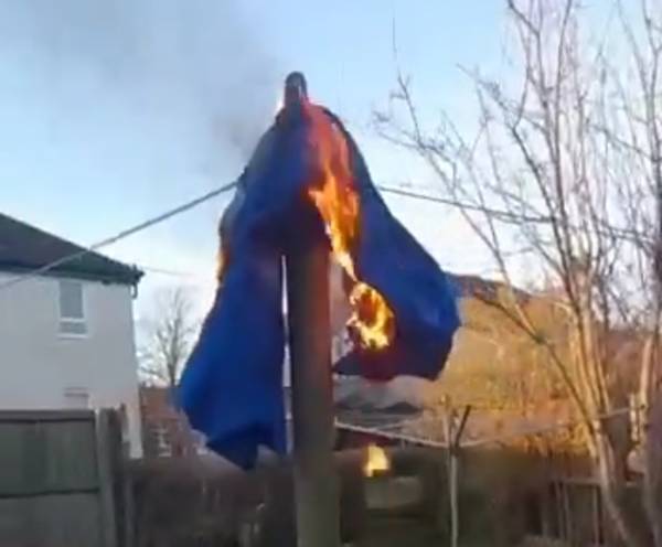 Video: Raging Bear Burns Rangers Strip In Protest After Celtic Defeat