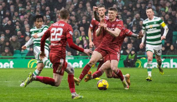 Unpaid work for Celtic fan who let off green flare during Aberdeen clash