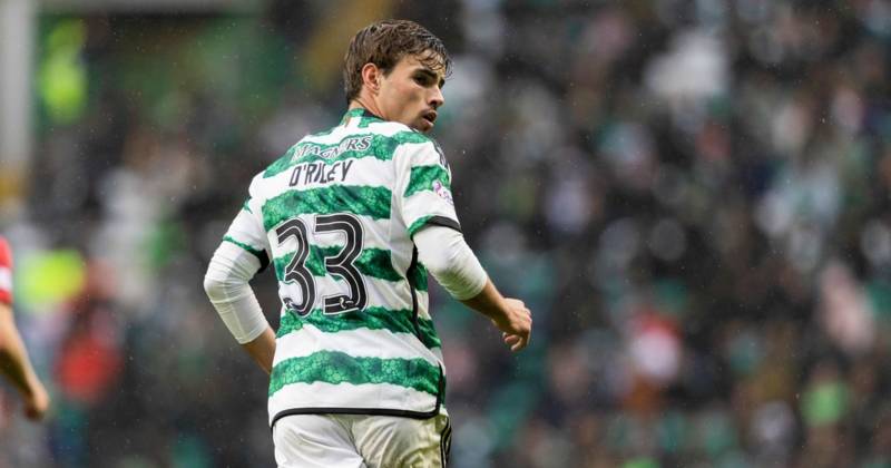 Matt O’Riley suffers further Denmark setback as Celtic hero snubbed when midfielder withdraws