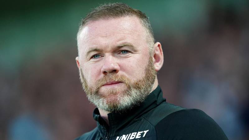 CHRIS SUTTON: Birmingham City have taken a HUGE risk by hiring a showbiz name in Wayne Rooney. he will be under serious pressure straight away to lead the club back to the promised land of the Premier League