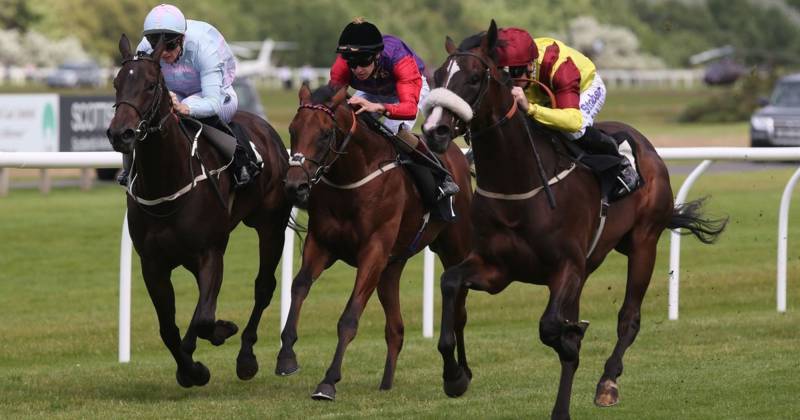 Newsboy’s horseracing tips for Monday’s four meetings, including Musselburgh Nap