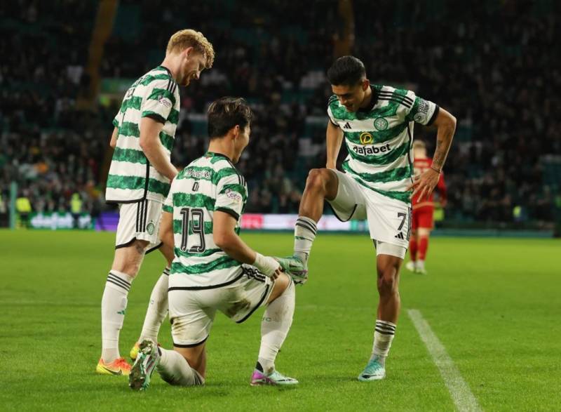 Sandman’s Definitive Ratings – Celtic v Furry Bits