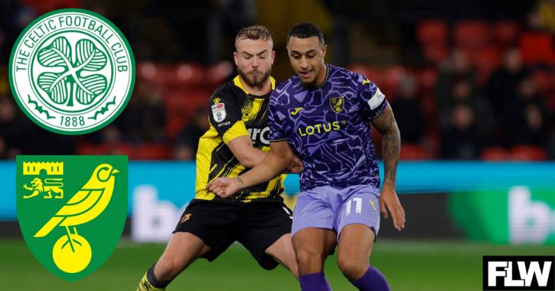 Norwich City: No surprise Adam Idah feels the way he does about Celtic