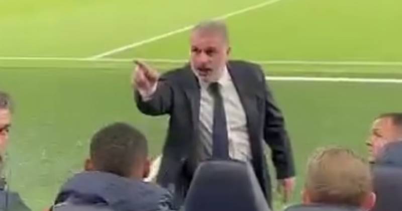 Raging Ange confronts Tottenham fan before delivering brutal home truths in savage post match assessment