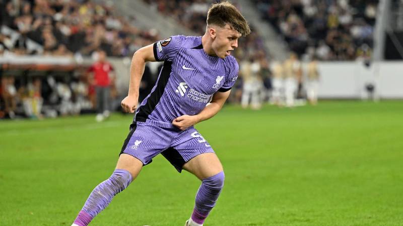 Liverpool winger Ben Doak handed first Scotland call-up despite not playing since December. as Steve Clarke names 28-man provisional squad for Euro 2024