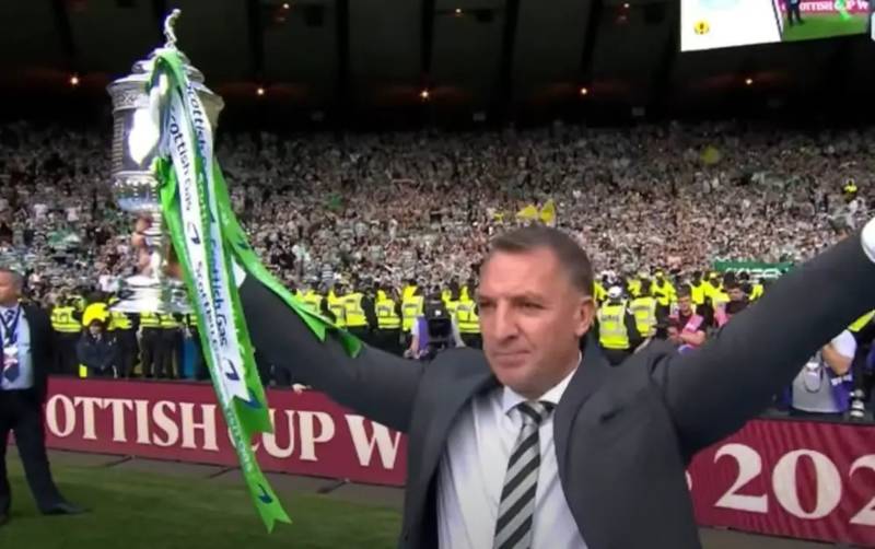 Superb Hampden image of a raging Allan McGregor and Alan Hutton at Hampden circulates after Celtic’s cup win