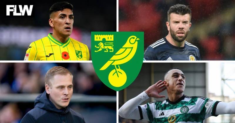 Norwich City latest: Adam Idah/Celtic, Euro 2024 windfall, Marcelino Nunez stance