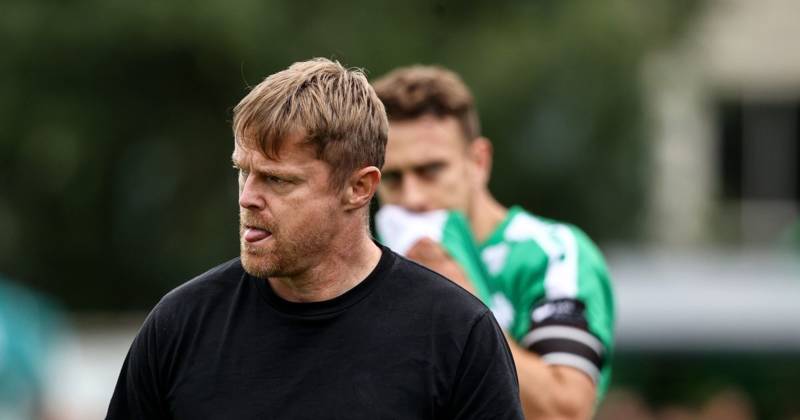 ‘We have guys from England and Scotland, but they have Celtic blood’ – Damien Duff on flying the Irish flag in Europe