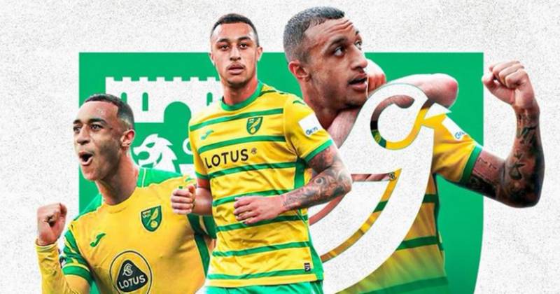 Adam Idah pens classy Norwich City farewell as Celtic finally land their man