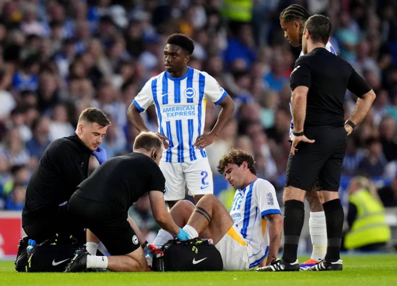 Injury latest on Matt O’Riley following horror tackle on Brighton debut