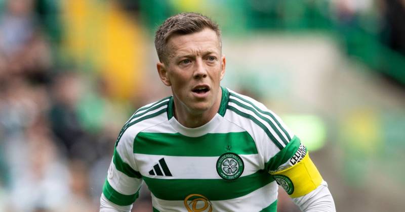 Callum McGregor has theory on how Celtic can thrive in brand spanking new Champions League