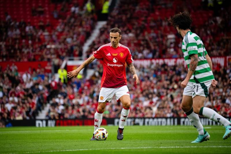 Dimitar Berbatov says Celtic give him ‘goosebumps everywhere’ with verdict on ‘crazy’ fans