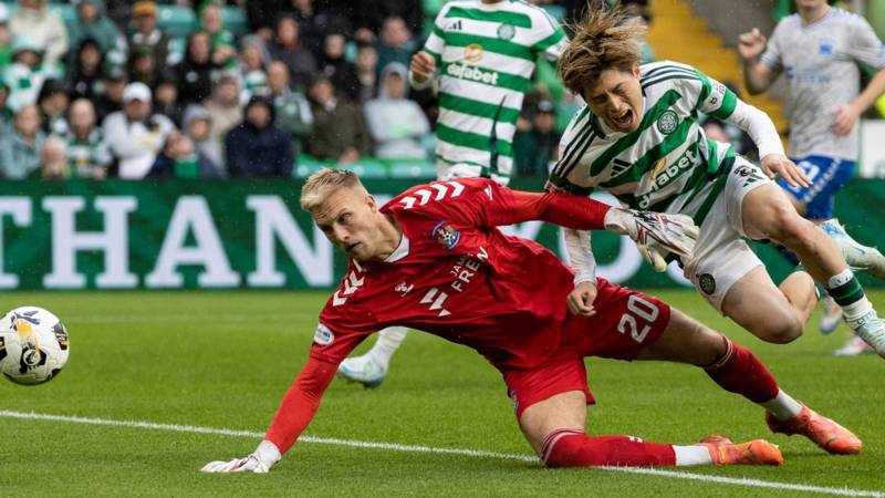 Scottish FA referee chief admits two wrong decisions in first VAR review