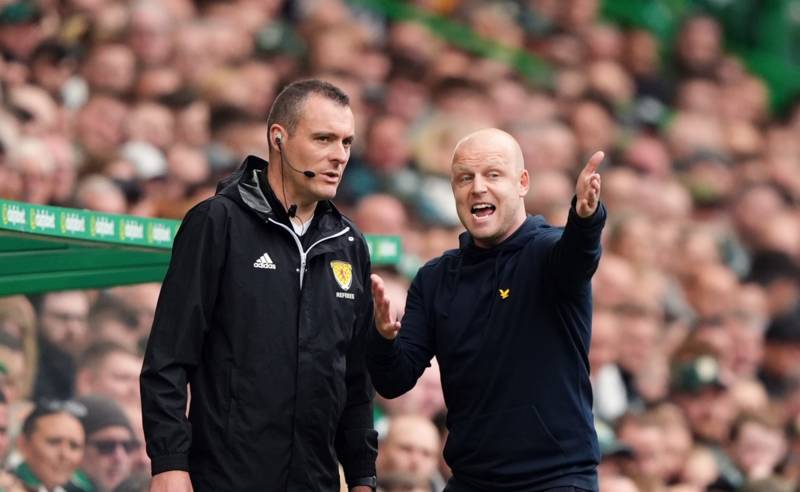 Steven Naismith says neither penalty claim should have been given in Celtic loss