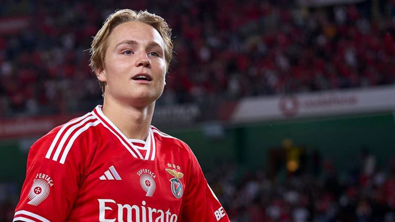 Celtic should sign Benfica winger after Jota and Paulo Bernardo