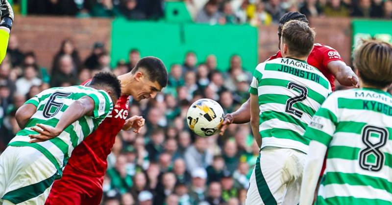 Duk sees Celtic no goal split the pundits as ‘harsh’ Aberdeen handball sparks definitive VAR defence