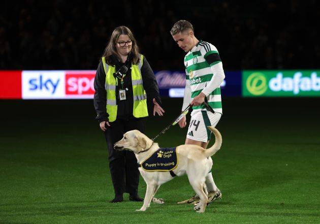 The Incredible Story of Animals at Celtic Park including one or two Donkeys