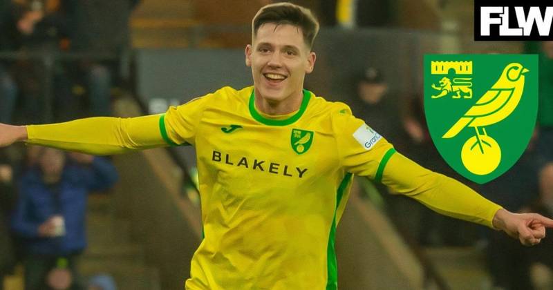 Norwich City: Ante Crnac v Luton Town eases Adam Idah, Celtic FC regret