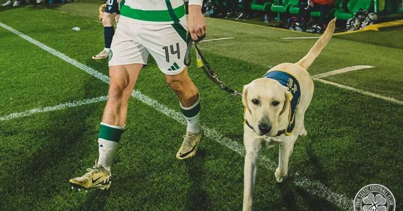 Scots guide dog who led players at Celtic Park while training is moving up