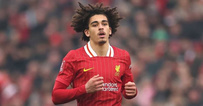 5 EPL starlets bang on Scottish Premiership transfer radar as £40m man, Liverpool bagsman and Chelsea prince in mix