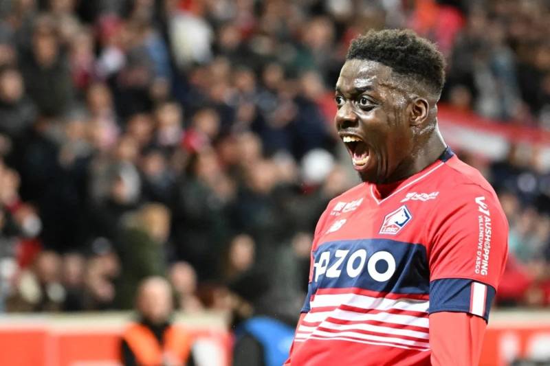 Report: Celtic In Hunt For Lille Striker