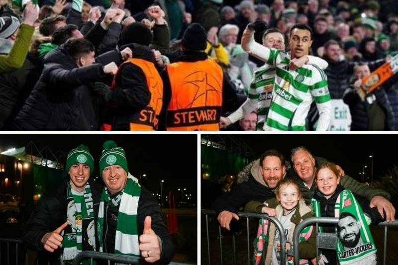 17 best pics of Celtic fans celebrating win over Young Boys that secured Champions League last 16 playoff spot