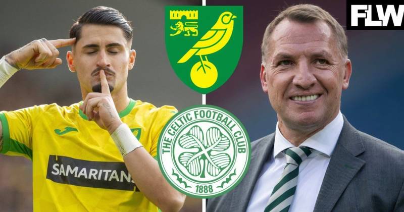 Celtic transfer stance on Norwich City star Borja Sainz becomes clear